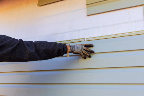 Best Custom Trim and Detailing for Siding  in Mexico, IN